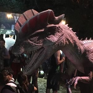 Meet your Posher, Elise